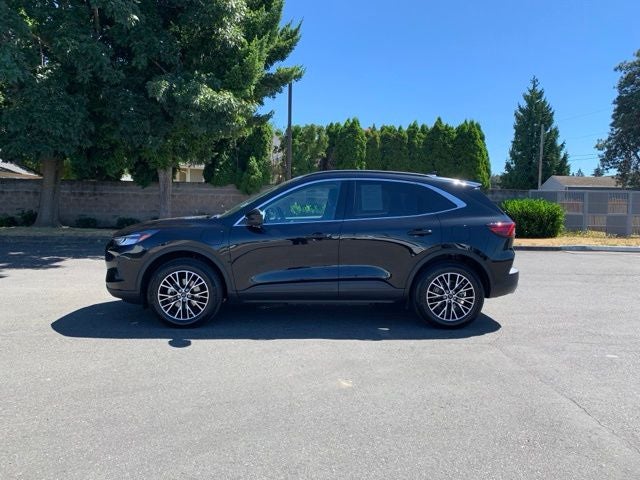 2025 Ford Escape Plug-In Hybrid Base